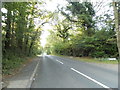 Barhatch Road leaving Cranleigh