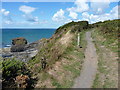 SM8614 : Up the coast path from Broad Haven by Richard Law