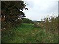 Footpath off Tower Hill Road