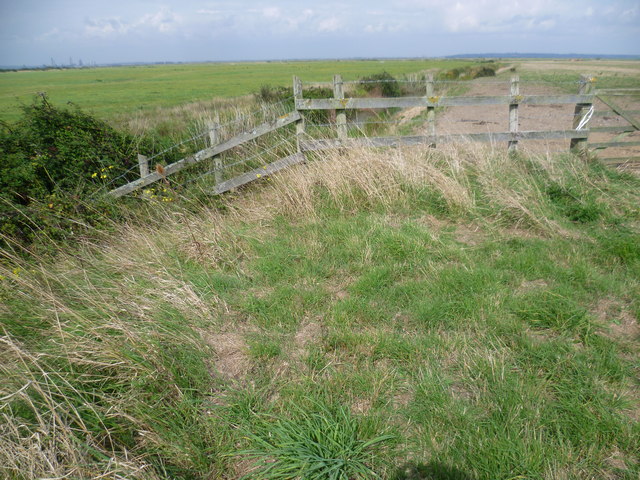 Looking towards St Mary's Marshes