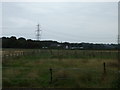 Grazing east of Burrows Lane