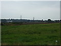 Grazing off Burrows Lane