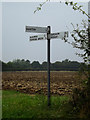 TM2789 : Roadsign on Norwich Road by Geographer