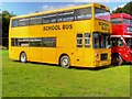 SD8203 : Yellow School Bus at Heaton Park by David Dixon