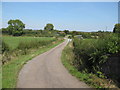 Road north from Bridge 8, Aylesbury Arm canal