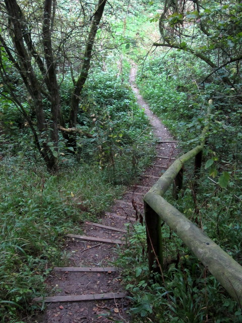 Steps on the path down the quarry