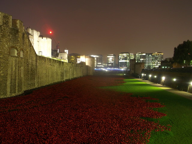 Poppies in the Moat at night. (3)