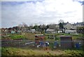 Allotment by the railway, Royston