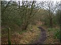 SO8073 : Footpath & remains of former US Army Camp, Burlish Top, near Stourport-on-Severn by P L Chadwick