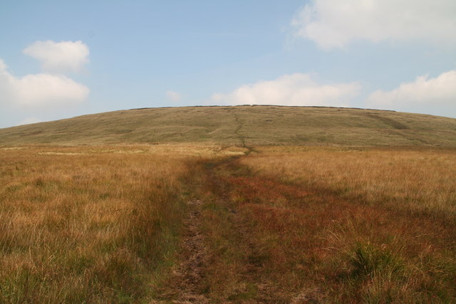 Path through Hey Moss