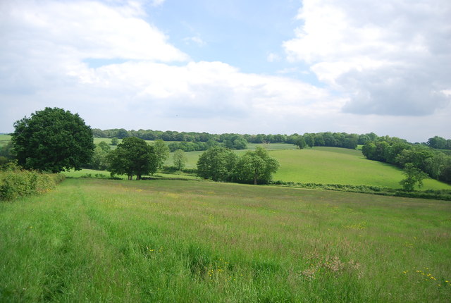 Meadow near Owlett's Farm