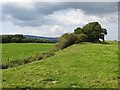 Grassy bank, Redhall