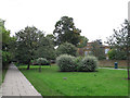 Vicarage Avenue, looking north