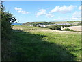 On the hillside above Broad Haven