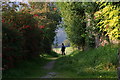 Padfield: footpath to meet the Longdendale Trail