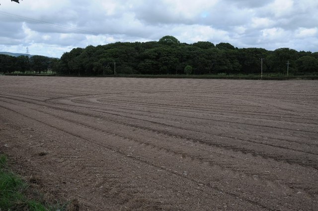 Arable field and Glascoed