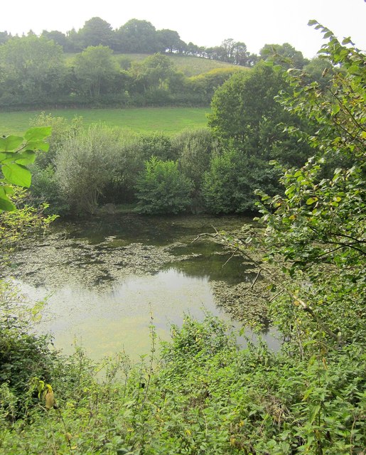 Pond, Rocombe valley