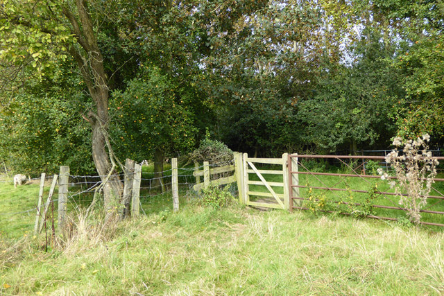 Offa's Dyke path at Buttington
