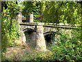 SJ8898 : Bridge at Clayton Hall by David Dixon