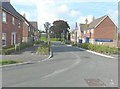 Looking north along Alexander Road, The Hollies