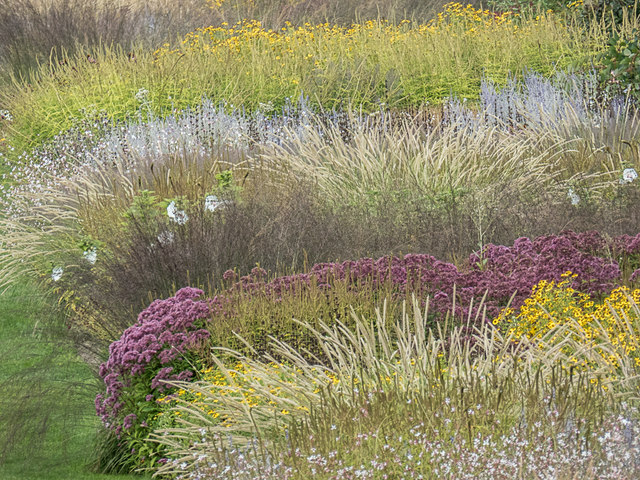Flowerbed, Royal Horticultural Society Garden, Wisley
