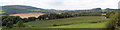 Hop field near Dumbleton Brook