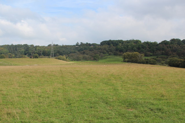 Field west of Eardiston