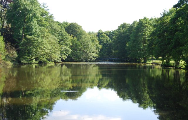 Chiddingstone Pond
