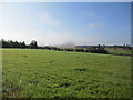 Farmland at Cromdale