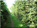 Footpath north of Old Hall Farm