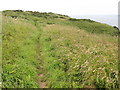 On the Coast Path