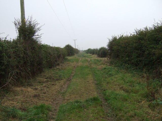 Green lane over Thornholme Field