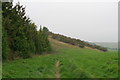 Recreated heathland? Bridleway to Rothwell