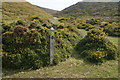 Marker post at Maen Esgob