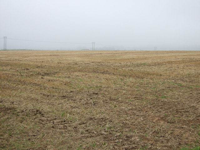 Stubble field, Thornholme Field