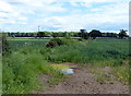 Farmland south of Cloudesley Bush