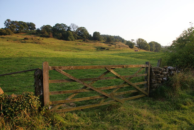 Field near Egton Bridge