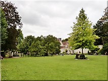 TQ4109 : Southover Grange Gardens, Lewes by Derek Voller
