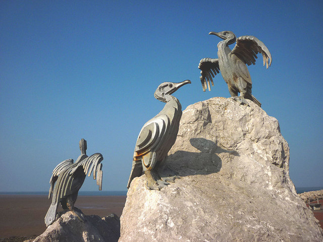Cormorants close up, Stone Jetty, Morecambe