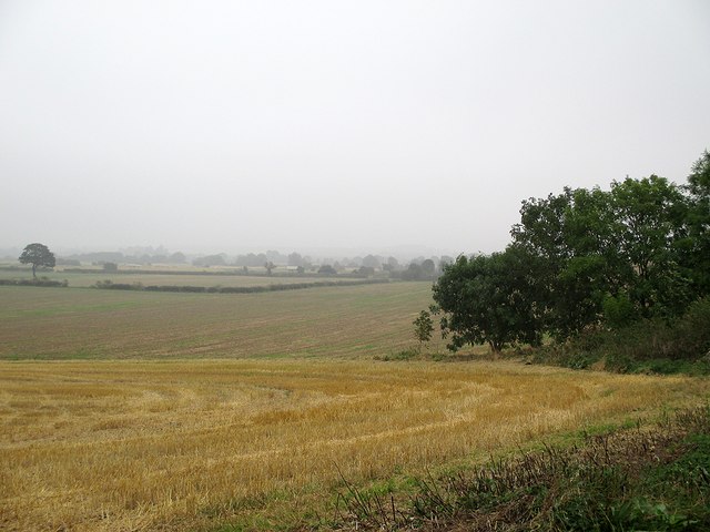 A view into the Vale