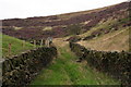 Walled track and public path to Binn Edge