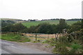 Gateway and path on the road from Holt Head to Blackmoor Foot