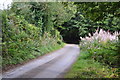 West Somerset : Old Way