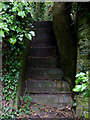SP1658 : Steps from the towpath near Wilmcote, Warwickshire by Roger  D Kidd