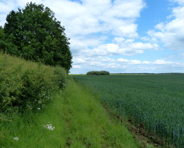 Farmland east of the Fosse Way