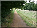 TQ3090 : Path in Alexandra park by Nigel Mykura