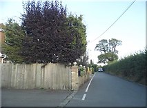 TQ0492 : Springwell Lane, Hill End by David Howard