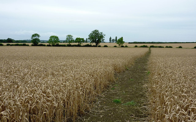 Footpath and wheat field north-east of Wilmcote, Warwickshire