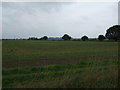 Farmland west of Scotter Road South