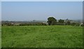 Farm land north of Annaghmare Road